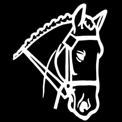 Stickers chevaux licornes