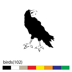 birds(102)2