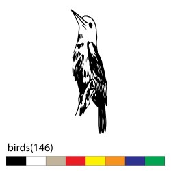 birds(146)