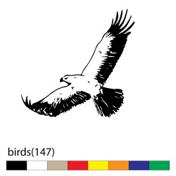 birds(147)