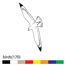 birds(170)