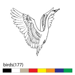 birds(177)