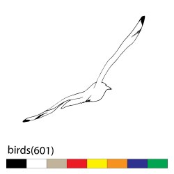 birds(601)