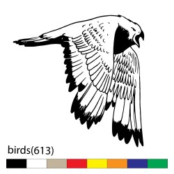 birds(613)