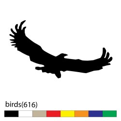 birds(616)