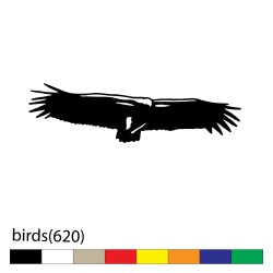 birds(620)