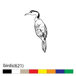 birds(621)