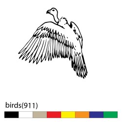 birds(911)
