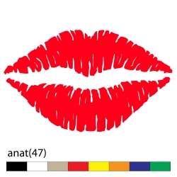 anat(47)