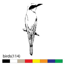 birds(114)