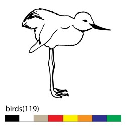 birds(119)