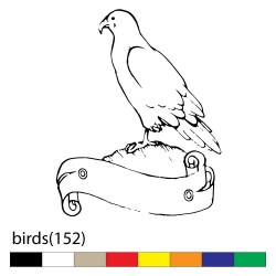 birds(152)