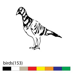birds(153)