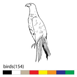 birds(154)