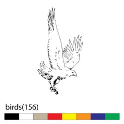 birds(156)