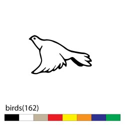 birds(162)
