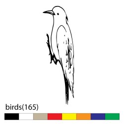 birds(165)