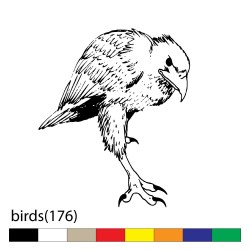 birds(176)