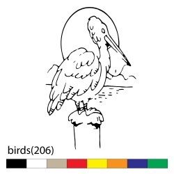 birds(206)