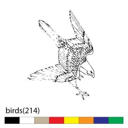 birds(214)