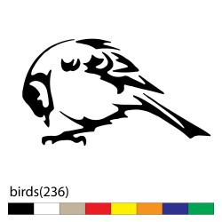 birds(236)8