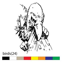 birds(24)