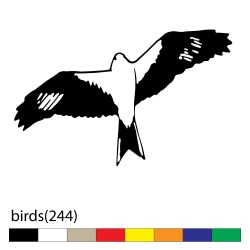 birds(244)