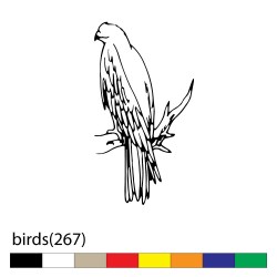 birds(267)