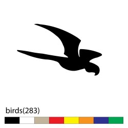 birds(283)1