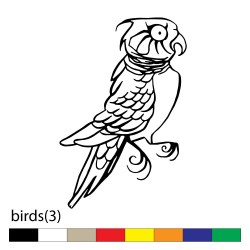 birds(3)