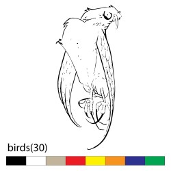 birds(30)
