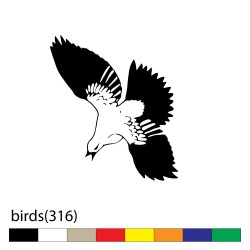 birds(316)