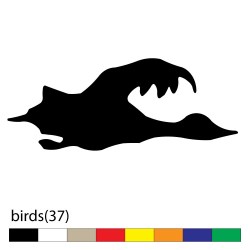 birds(37)