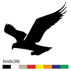 birds(38)1