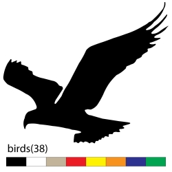 birds(38)