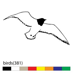 birds(381)