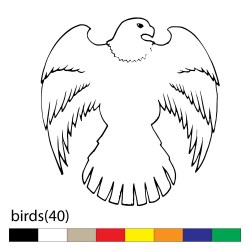 birds(40)
