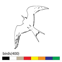 birds(400)