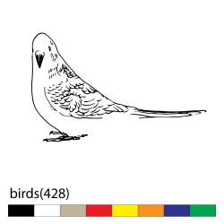 birds(428)