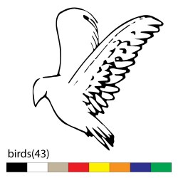 birds(43)