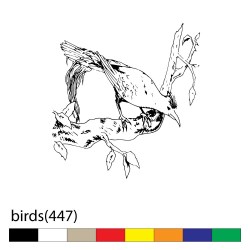 birds(447)