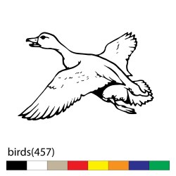 birds(457)