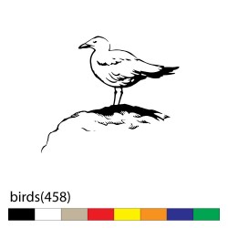 birds(458)
