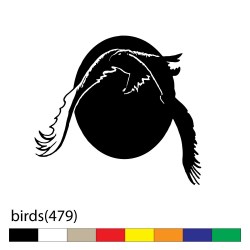 birds(479)9