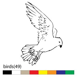 birds(49)