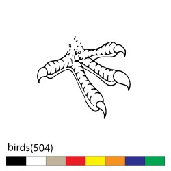 birds(504)