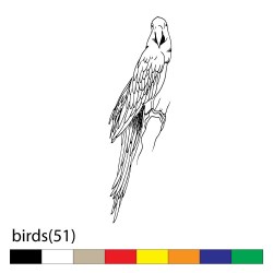 birds(51)