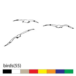 birds(55)