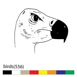 birds(556)