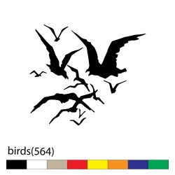 birds(564)